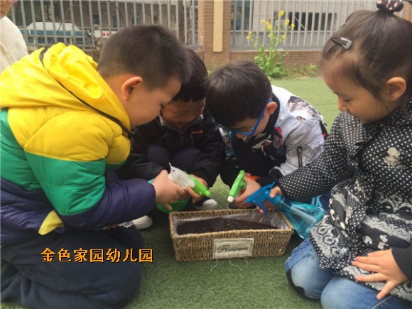 附件：IMG_0309.JPG