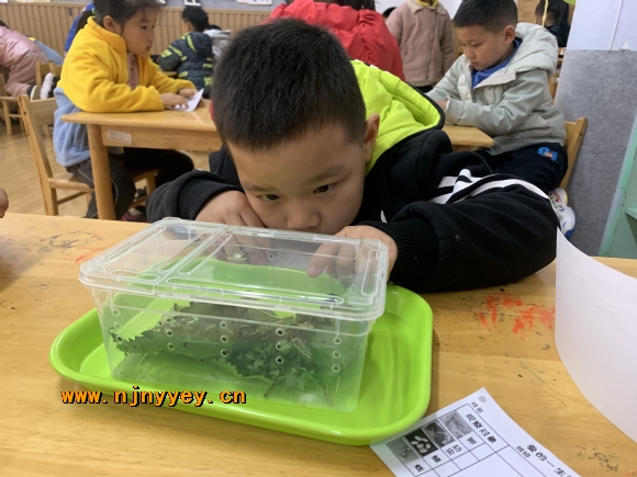附件：IMG_2688.JPG