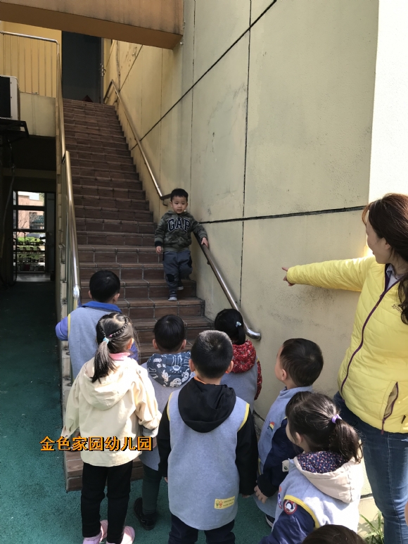 附件：IMG_6804.JPG