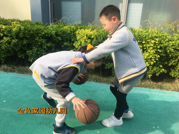 附件：IMG_6231.jpg
