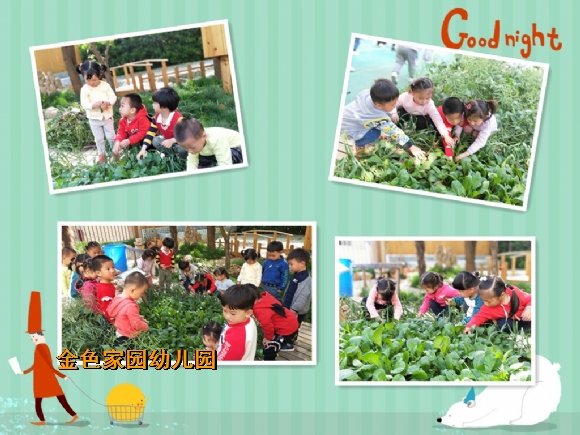 附件：鏈懡鍚?.jpg