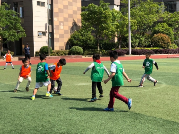 附件：QQ图片20180516092735.jpg