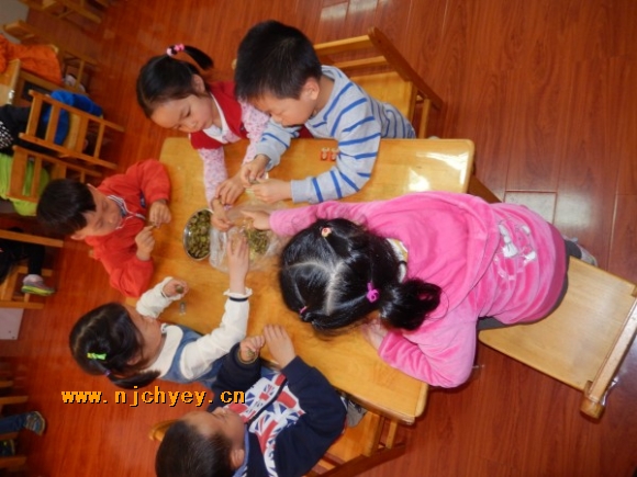 附件：conew_dscn3001.jpg