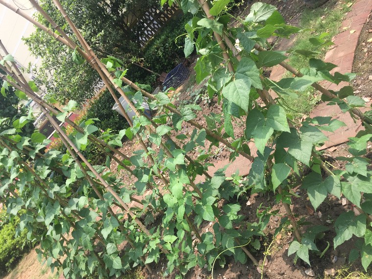 20190602193654045.jpg IMG_9244.jpg