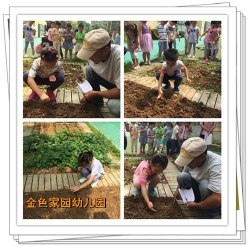 附件：6.jpg