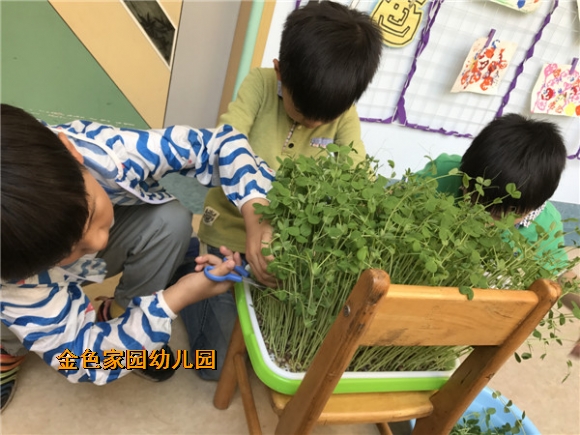 附件：IMG_1722.JPG