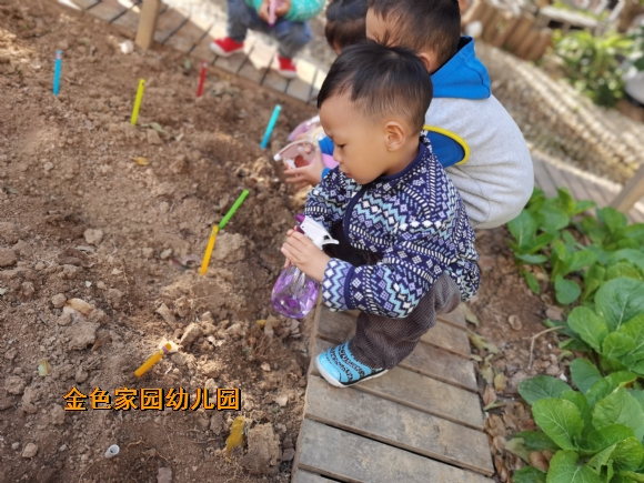 附件：IMG_20211119_095107.jpg
