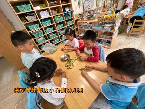 附件：3f986f5065513d4227febd5841123bd4.jpg