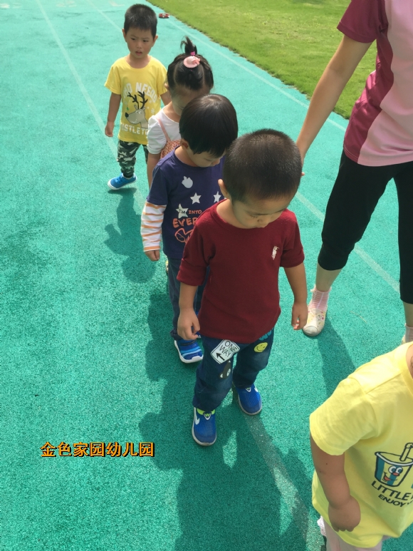 附件：IMG_6853.JPG