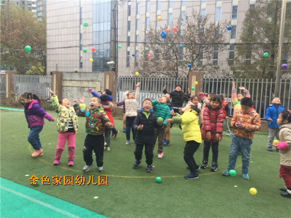 附件：IMG_7527.JPG