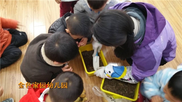 附件：IMG_0306.JPG