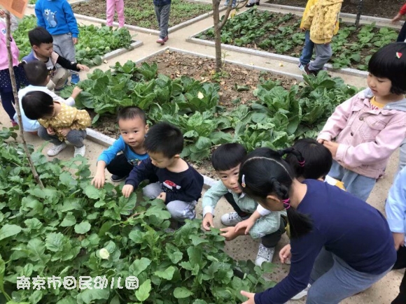 附件：QQ图片20191013195813.jpg