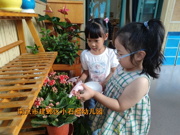 附件：QQ图片20240124102533.jpg