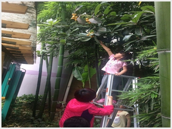 建邺教育信息网