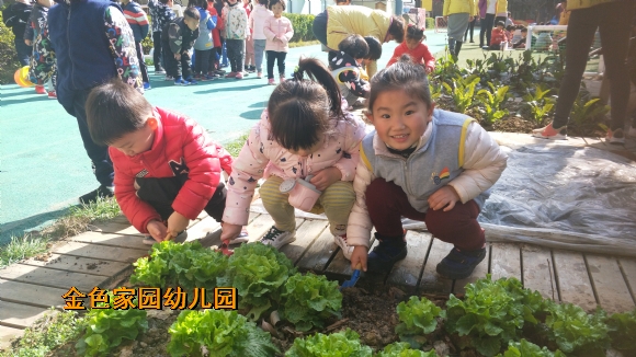 附件：978542E0C8158B2FD708798CF79DA3CF.jpg