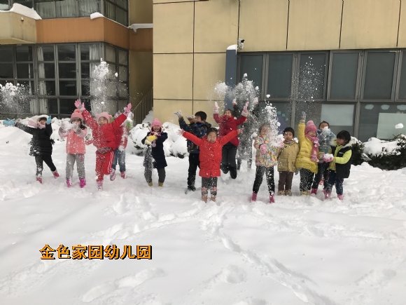 附件：IMG_0381.JPG