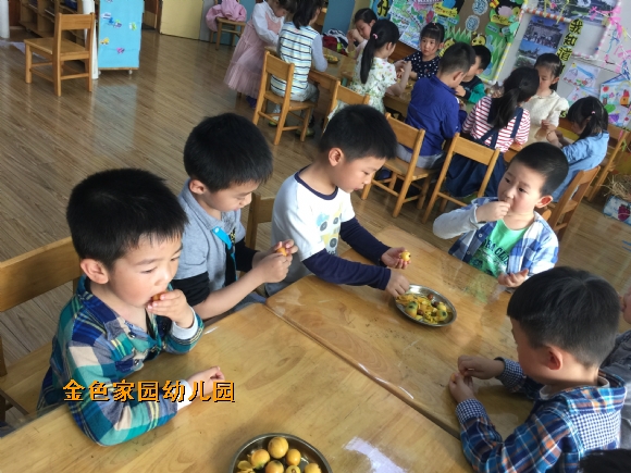 附件：IMG_6963.JPG
