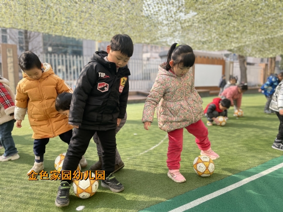 附件：IMG_1729.JPG