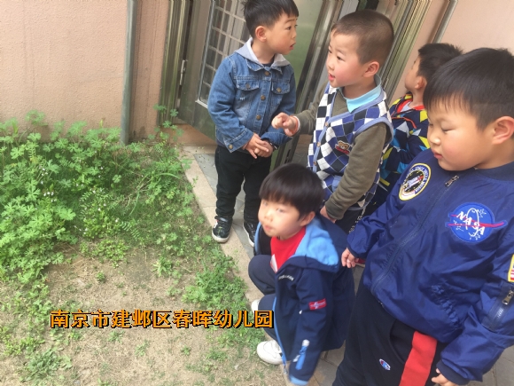 附件：QQ图片20190418203406.jpg