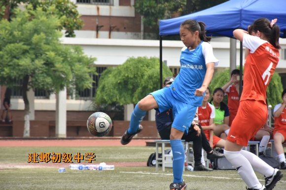 附件：DSC_5246.jpg