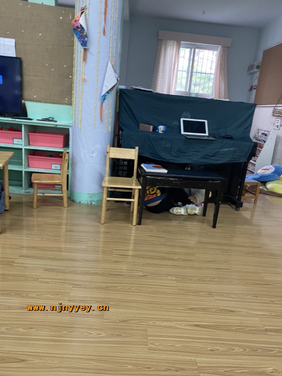 附件：IMG_3517.JPG