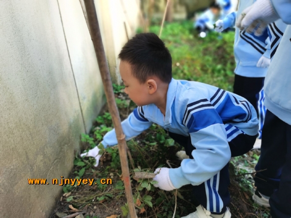 附件：B02A4DB31FE1C87658363552FA4D7352.jpg