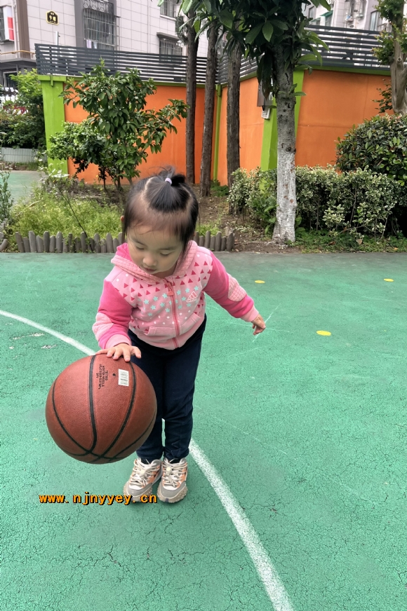 附件：IMG_7556.JPG