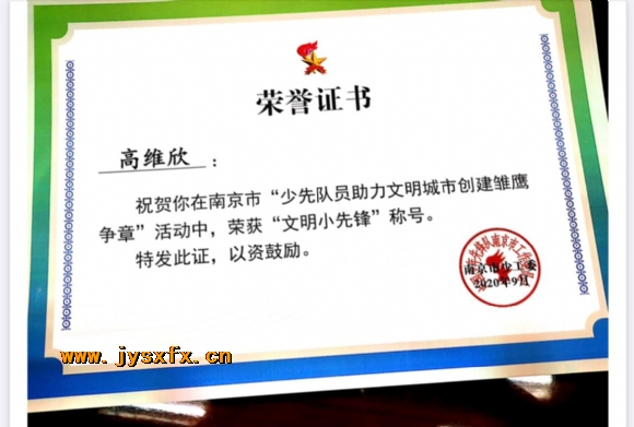 附件：市级雏鹰争章2.jpg