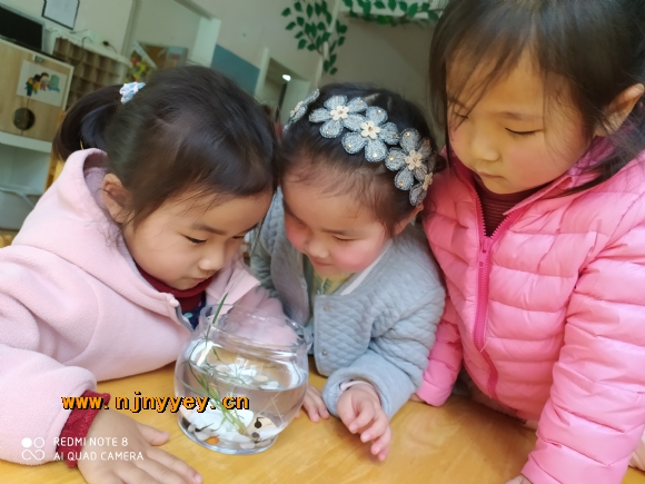 附件：IMG_20210409_103237.jpg