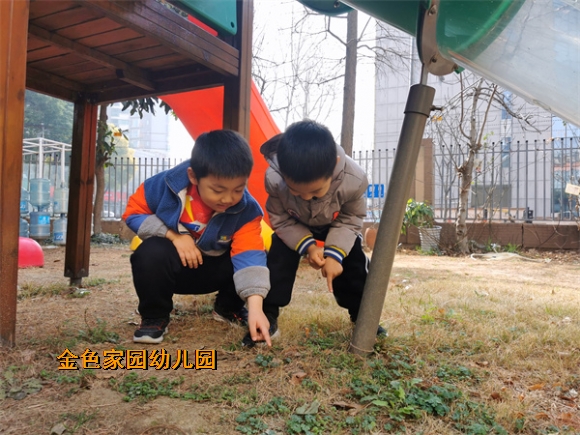 附件：IMG_20220302_102925.jpg
