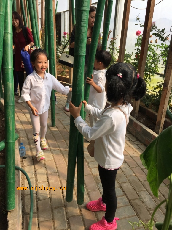 附件：conew_05ac45d8-dbd2-4e28-84b1-72798d737c26.jpg