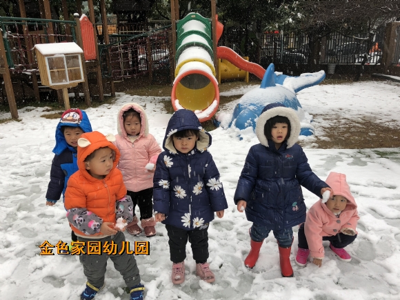 附件：IMG_1772.JPG