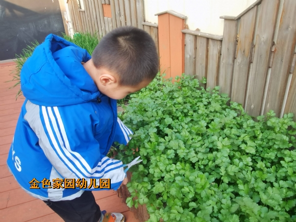 附件：1642558798916.jpg