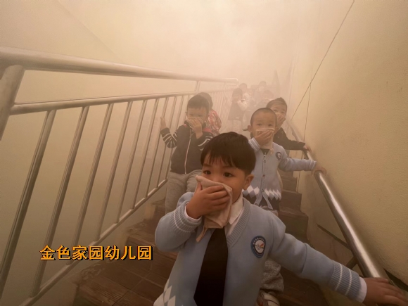 附件：e81d98e9a9ba491405ca2b21d3b61a2.jpg