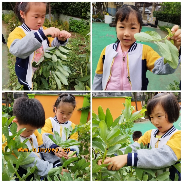 附件：5.jpg