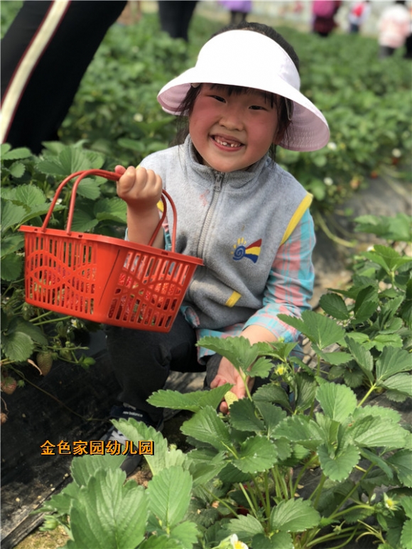 附件：FullSizeRender(17).jpg
