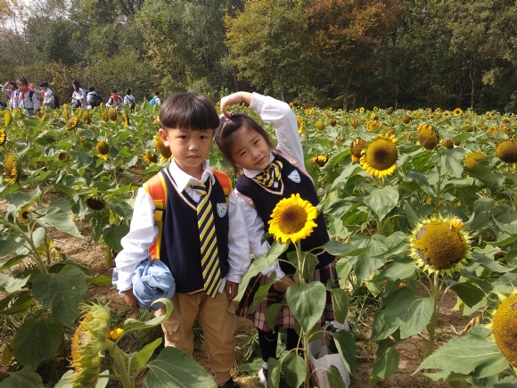 附件：IMG_20191029_104358.jpg