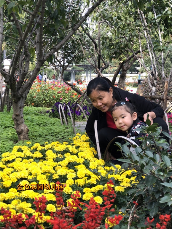 附件：赏菊花.jpg