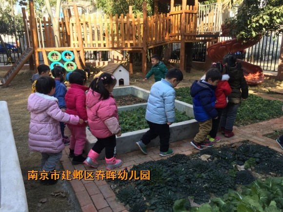 附件：conew_img_7229.jpg