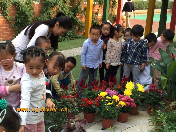 附件：conew_img_1676.jpg