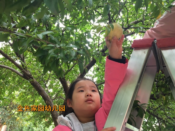 附件：361756267284154400.jpg