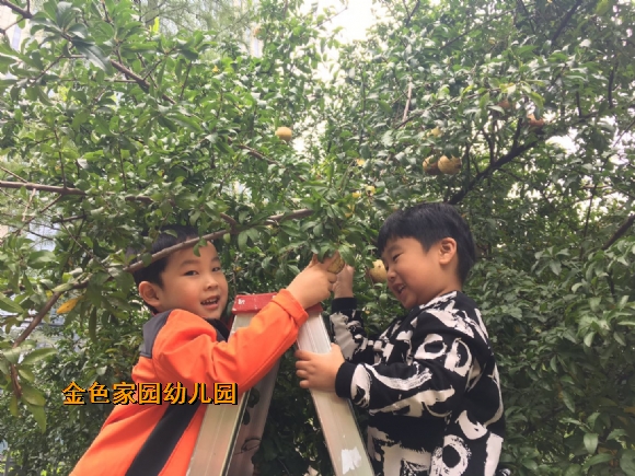 附件：408659675409450783.jpg