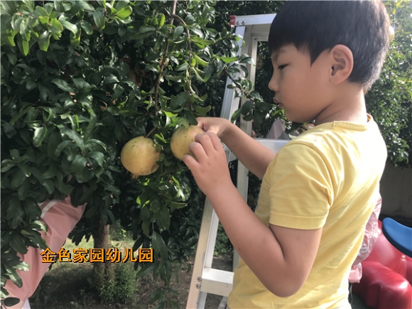 附件：4.JPG