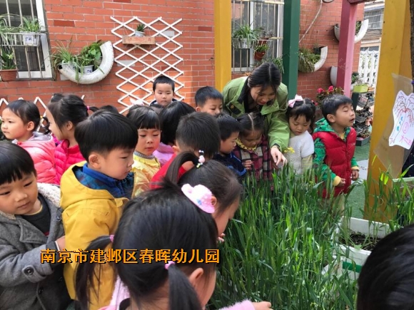 附件：IMG_3006.JPG