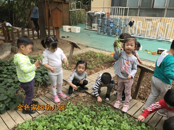 附件:IMG_2891.JPG 附件:IMG_2891.JPG