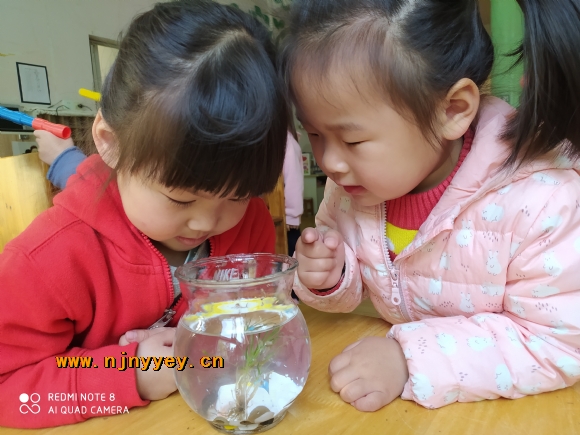 附件：IMG_20210409_085210.jpg