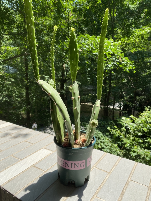 附件：IMG_9312.JPG
