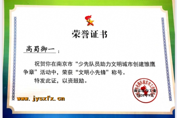 附件：市级雏鹰争章5.jpg