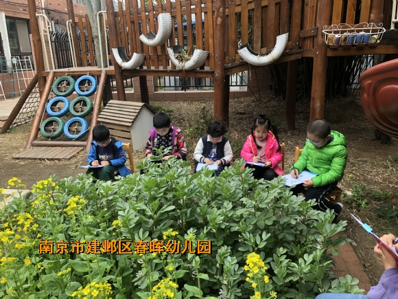 附件：IMG_4439.JPG