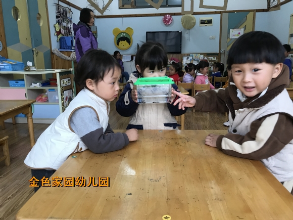 附件：IMG_7645.JPG